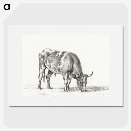 2-50_Jean-Bernard_picture