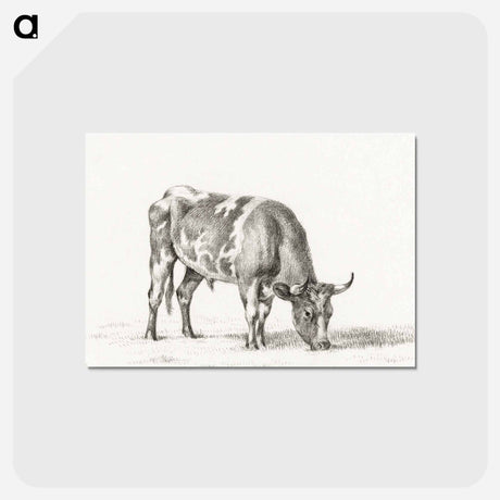 アートポストカード-Grazing bull - ジャン ベルナール Postcard.