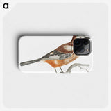 2-50_Johan-Teyler_phone