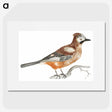 2-50_Johan-Teyler_picture