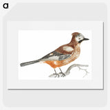 2-50_Johan-Teyler_picture