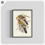2-50_John-Gould_blk-crop
