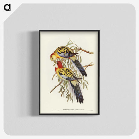 2-50_John-Gould_blk-crop