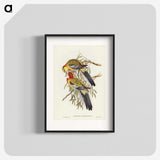 2-50_John-Gould_blk