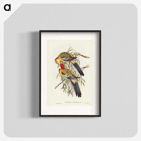 2-50_John-Gould_blk