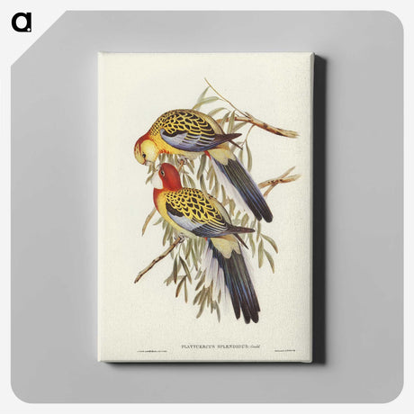 2-50_John-Gould_canvas