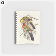 2-50_John-Gould_memo