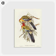 2-50_John-Gould_postcard