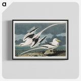 2-50_John-James-Audubon_blk-crop