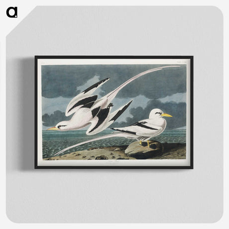 2-50_John-James-Audubon_blk-crop