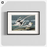 2-50_John-James-Audubon_blk