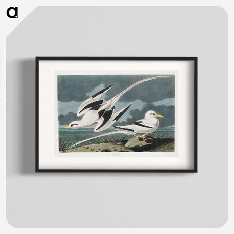 2-50_John-James-Audubon_blk