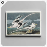 2-50_John-James-Audubon_canvas