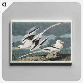 2-50_John-James-Audubon_canvas