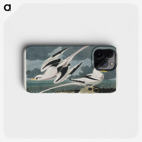2-50_John-James-Audubon_phone