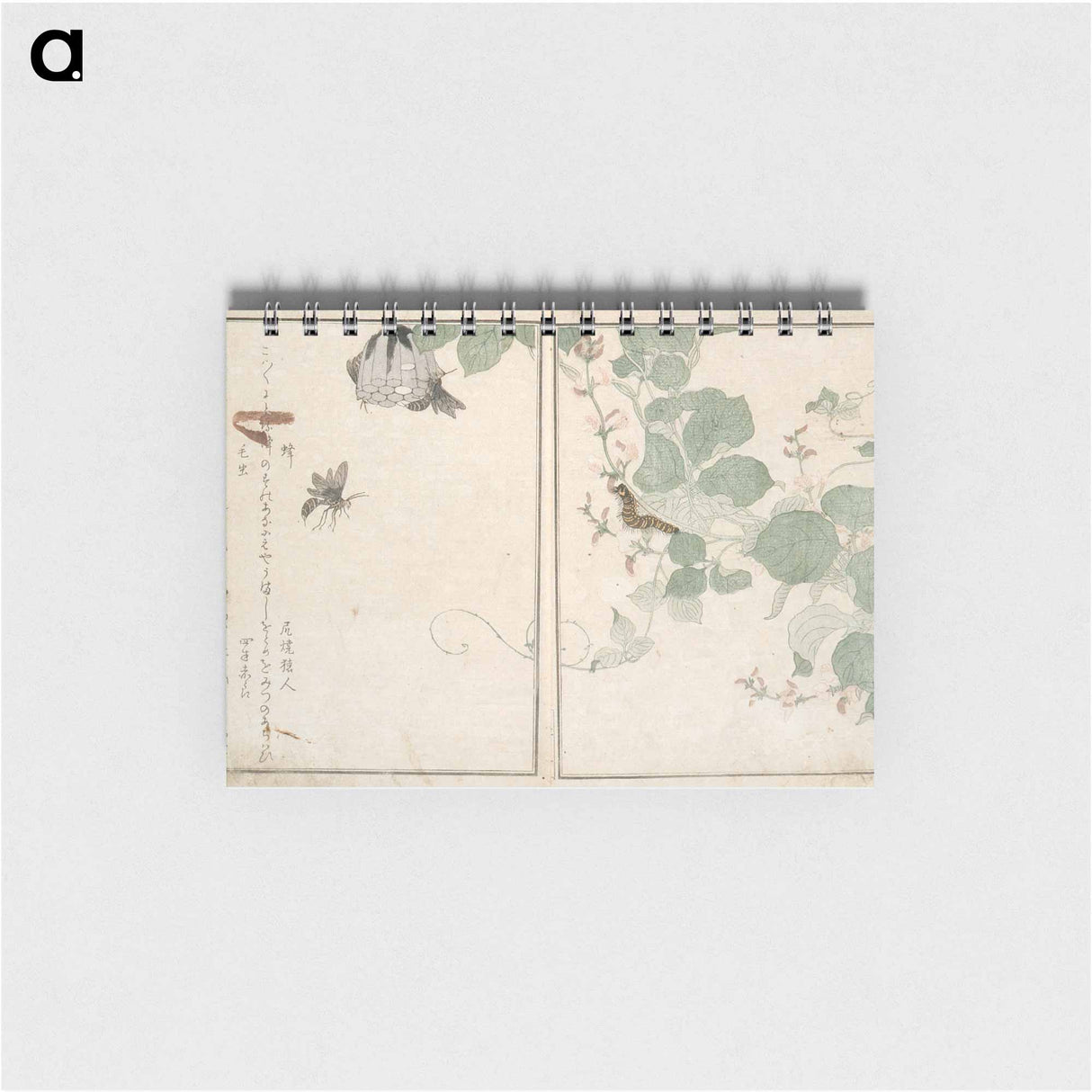 Picture Book of Selected Insects - 喜多川 歌麿 Memo.