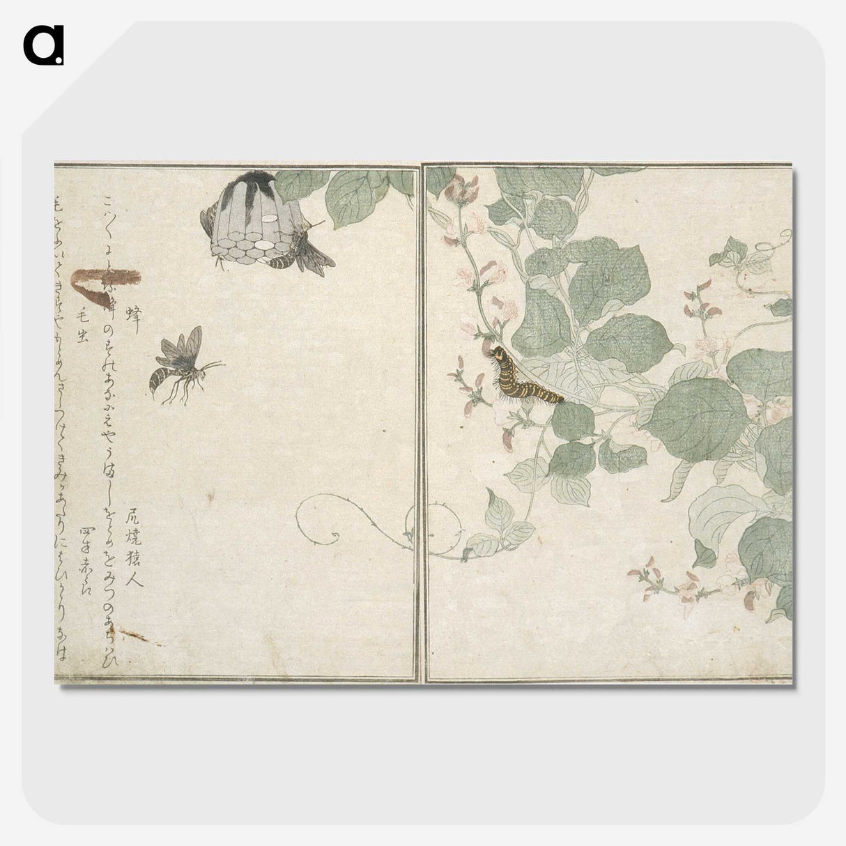 2-50_Kitagawa-Utamaro_picture-crop