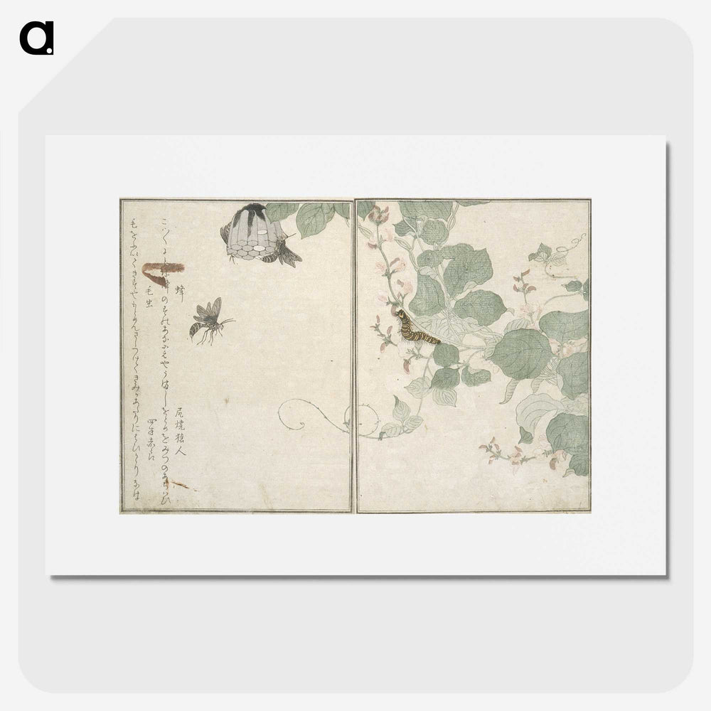 2-50_Kitagawa-Utamaro_picture