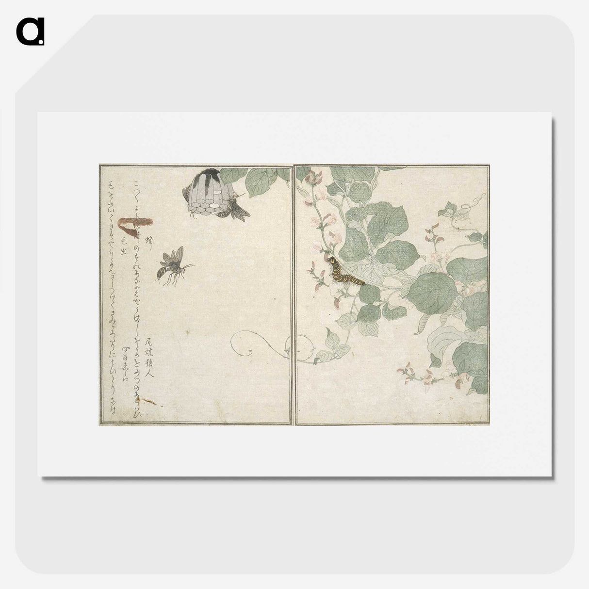 2-50_Kitagawa-Utamaro_picture