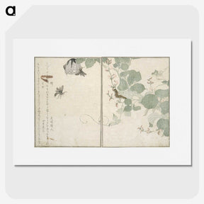 2-50_Kitagawa-Utamaro_picture
