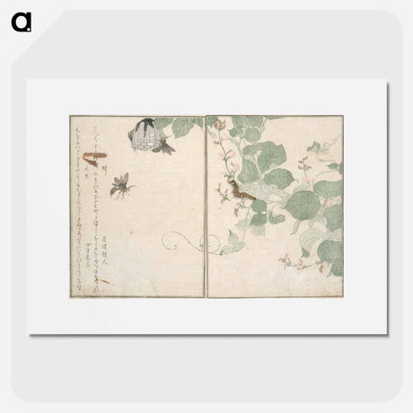 アートポスター-Picture Book of Selected Insects - 喜多川 歌麿 Poster.