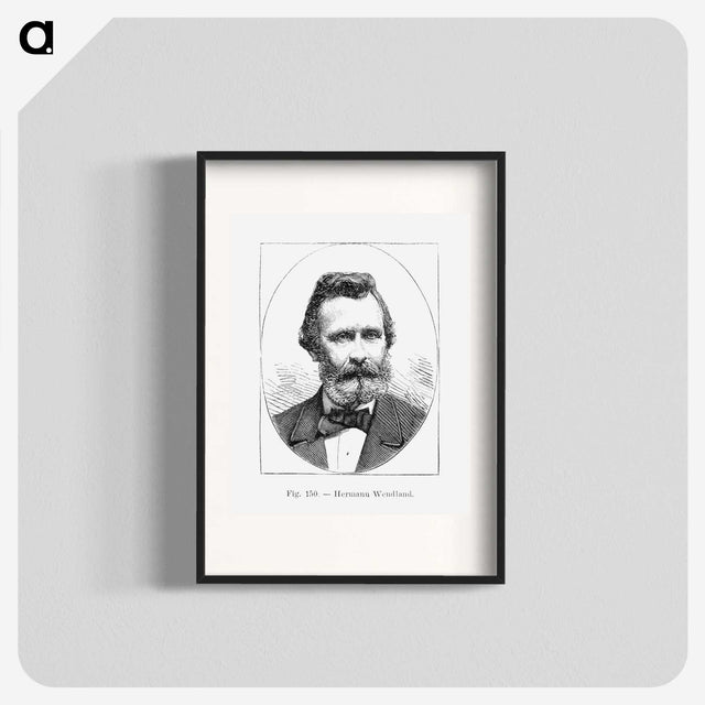 2-50_Les-Palmiers-Histoire-Iconographique_blk