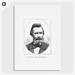2-50_Les-Palmiers-Histoire-Iconographique_picture
