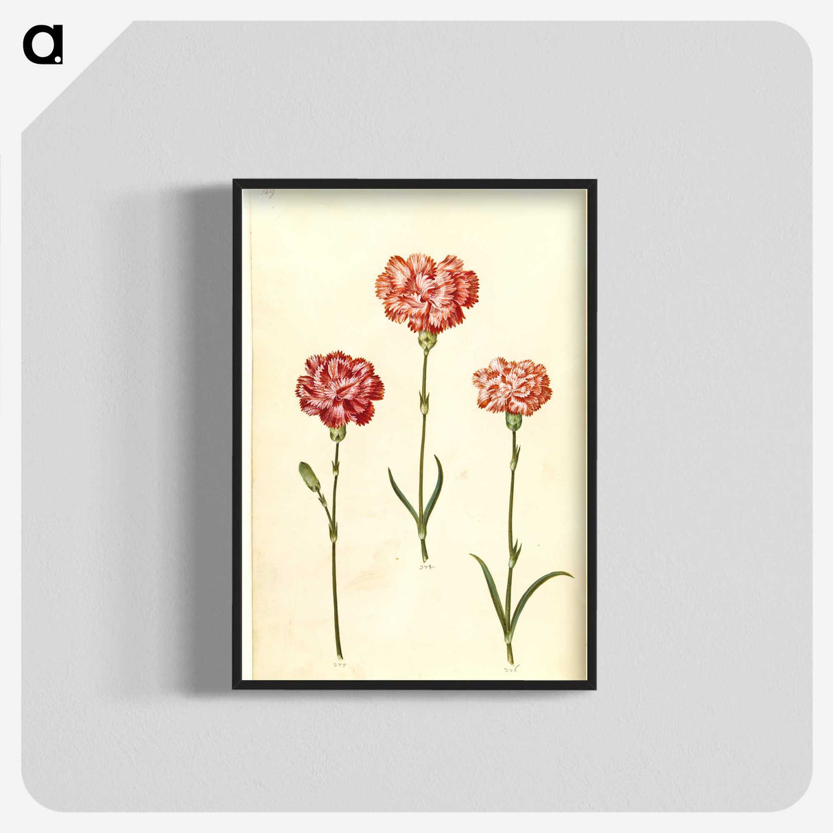 2-50_Maria-Sibylla-Merian_blk-crop