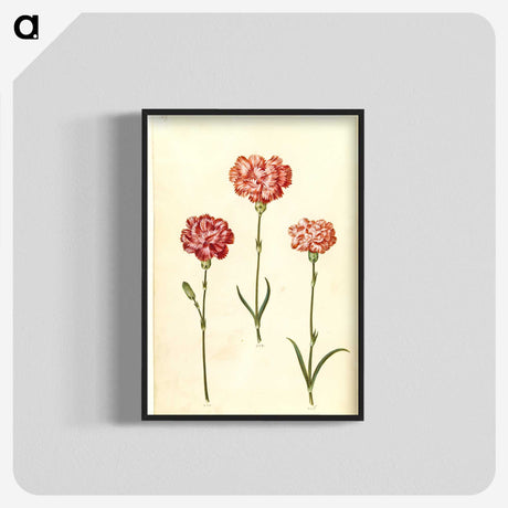 2-50_Maria-Sibylla-Merian_blk-crop