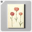 2-50_Maria-Sibylla-Merian_canvas