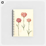 アートメモ帳-Dianthus caryophyllus
 - マリア ジビーラ メーリアン Memo.