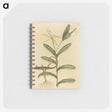 2-50_Mark-Catesby_memo