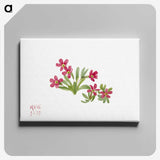 2-50_Mary-Vaux-Walcott_canvas