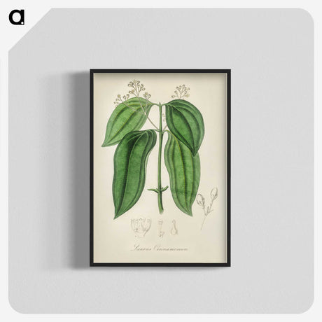 2-50_Medical-Botany_blk-crop