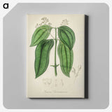 2-50_Medical-Botany_canvas