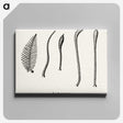 2-50_Moths-and-Butterflies-of-the-United-States_canvas