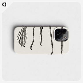 2-50_Moths-and-Butterflies-of-the-United-States_phone