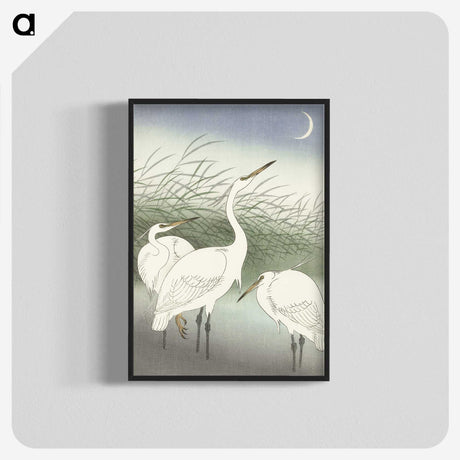 2-50_Ohara-Koson_blk-crop