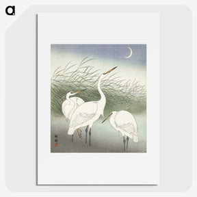 2-50_Ohara-Koson_picture