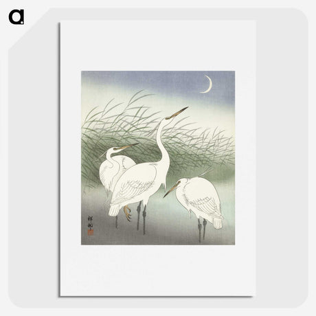 2-50_Ohara-Koson_picture