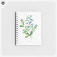 2-50_Pierre-Joseph-Redoute_memo