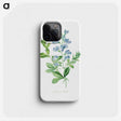2-50_Pierre-Joseph-Redoute_phone