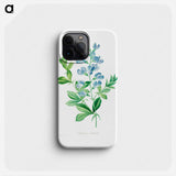 Sweet pea - Pierre Joseph Redouté Phone Case.