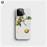 2-50_Pomona-Italiana_phone