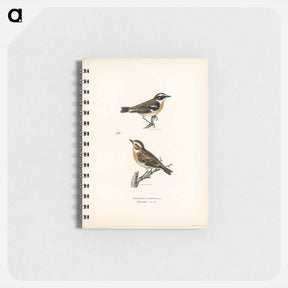 アートメモ帳-Whinchats
 - スヴェンスカ フォグラル Memo.