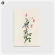 アートポストカード-Black-throated Blue Warbler from Birds of America
 - アメリカの鳥たち Postcard.