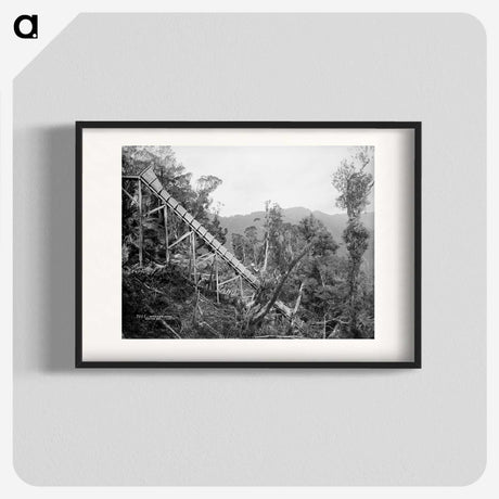 2-50_The-Burton-Brothers_blk