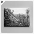 2-50_The-Burton-Brothers_canvas
