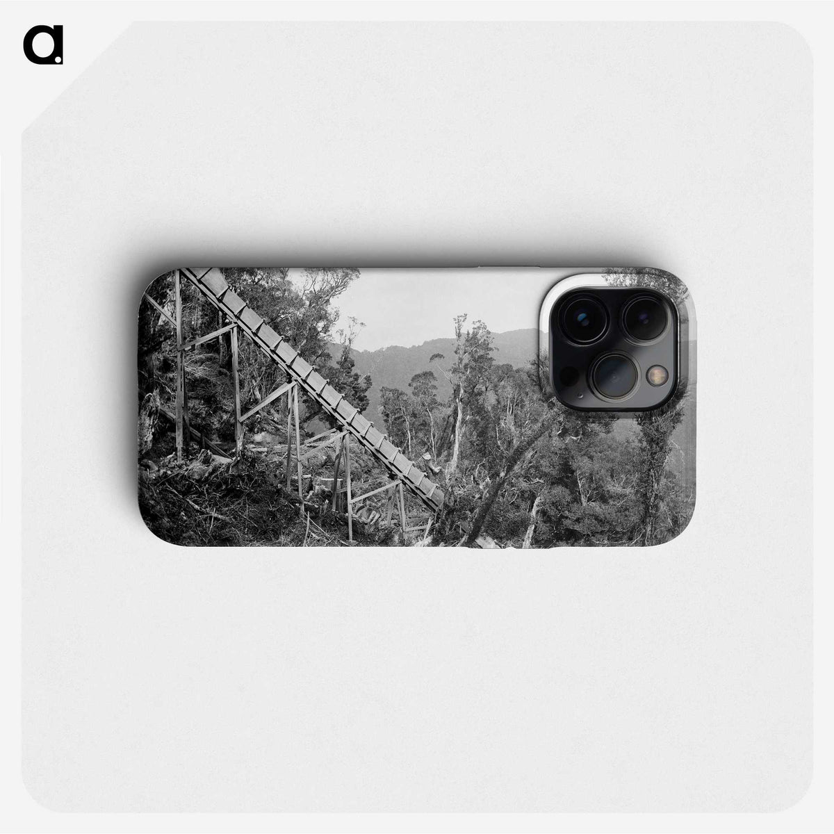 2-50_The-Burton-Brothers_phone