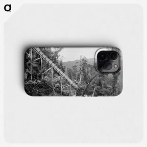 2-50_The-Burton-Brothers_phone